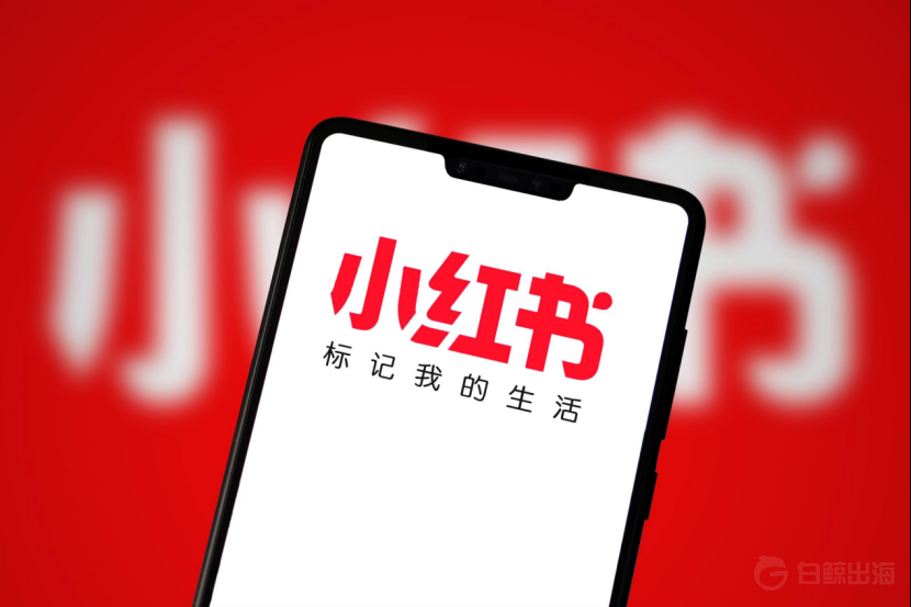 AI美女生成：小红书、抖音美女视频制造机，通过图生视频生成极度真实的日常美女视频【视频教程】-IT奶酪